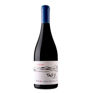 Vino Tinto Ventisquero Tara Pinot Noir 750ml